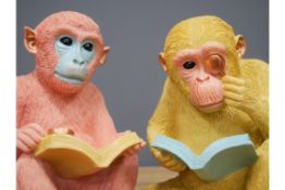 Monkey Bookends