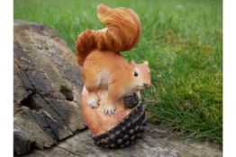 Squirrel On Acorn Ornament