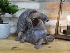 Large Happy Tortoises Ornament