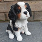 Tricolour King Charles Spaniel Puppy Garden or Home Ornament