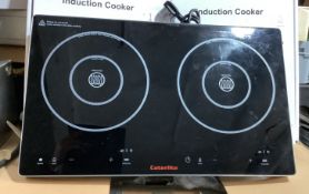 Brand New Double Induction Cooker
