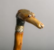 Spazierstock / Flanierstock (19./20. Jh.)