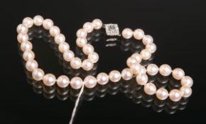 Zuchtperlenkette