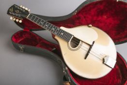 Mandoline (Gibson, USA)