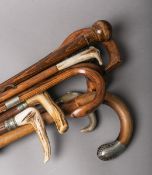 10-teiliges Konvolut von Gehstöcken