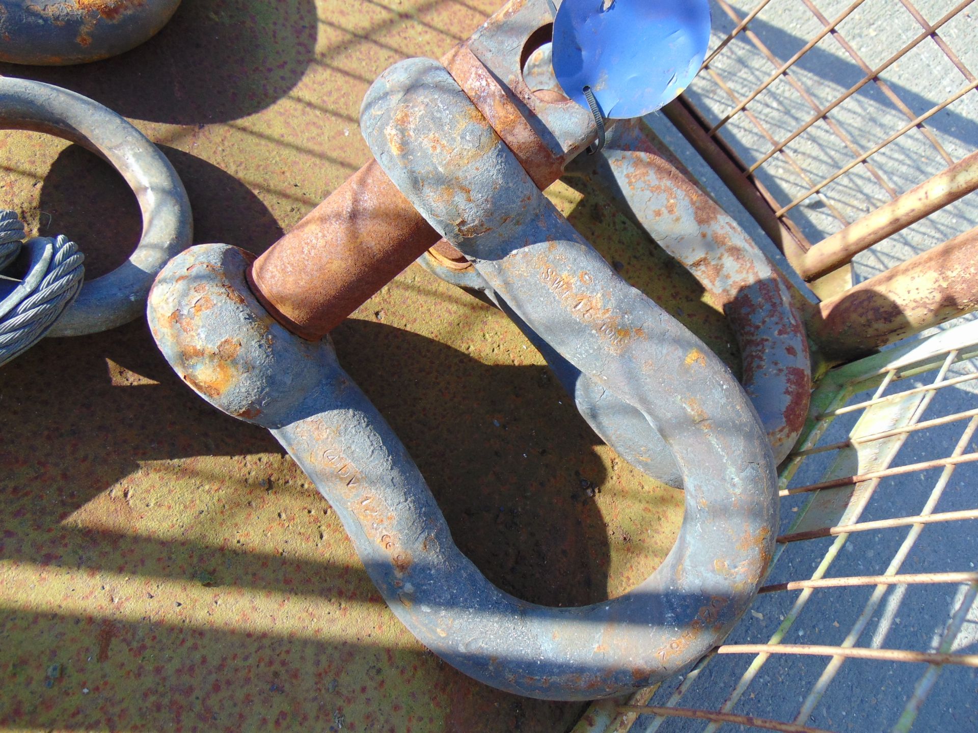 Large Bow Shackles, 2 Leg Wire Rope Assy etc - Image 4 of 7