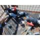 Hoses, Taps, Hammers, Hooks etc - Image 5 of 7