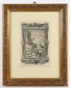 Tiere, Kupferstich, 18.Jh., R.