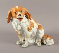 Hund, Deutsch