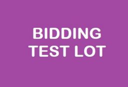 Bidding Practice Lot