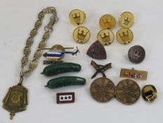 Sterling WWII 3 Star Pin, Heinz Pickle Pins & more