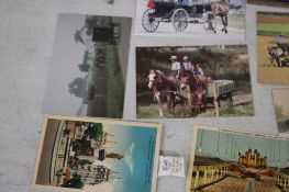17 Misc. & 17 Bird Postcards, 40 Bird Trade Cards