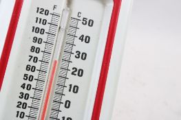 2 Advertising Metal Thermometers IH & Purina Chows