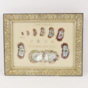 Vintage Imperial Cultured Pearls framed display