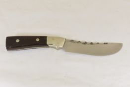 Hand Made Custom Knife by Dr. Robert E Molenaar