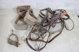 Horse Tack Spur, Bridles/Halters/Stirrups