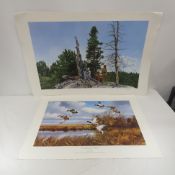 David Maass & Paul Calle Art Prints