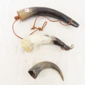 2 powder horns and bonus horn