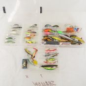Fishing lures in plastic cases