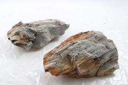 2 Pieces of Petrified Wood 5 Lbs. 10 Oz.