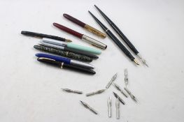 10 Fountain & Dip Pens & Extra Nibs