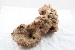 Stalagmite 12 Pound Piece