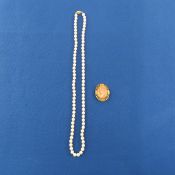 Pearl Necklace & Cameo Brooch