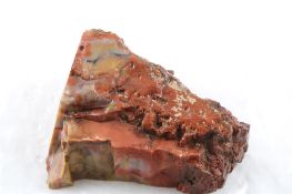 Petrified Wood 1.14 Pound Piece