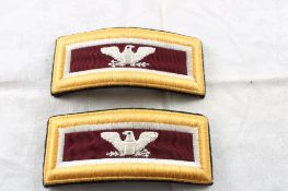 US Army Colonel Medical Force Shoulder Bars