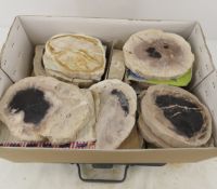 27 Pounds, Indonesian Petrified Wood Slabs