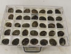 35 Indonesian Serpentine Worry Stones