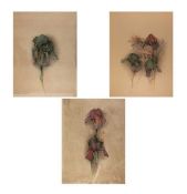 Bruno Bruni (1935 Gradara – lebt in Hamburg)