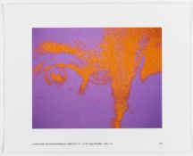 Louise Lawler (1947 Bronxville – lebt in New York)