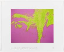 Louise Lawler (1947 Bronxville – lebt in New York)