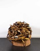 Fernanda Trevellin de Almeida (1980 São Paulo – lebt in Berlin)