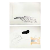 Michael Buthe (1944 Sonthofen - Bad Godesberg 1994)