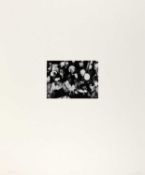 Isa Genzken (1948 Bad Oldesloe – lebt in Berlin)