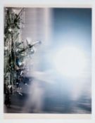 Rosemarie Trockel (1952 Schwerte – lebt in Berlin)