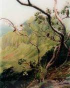 Sonja Braas (1968 Siegen – lebt in New York)