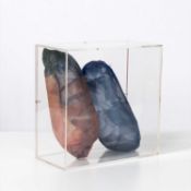 Petra Darimont (1957 Merzig – lebt in Berlin)