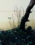 Laurenz Berges (1966 Cloppenburg – lebt in Düsseldorf)