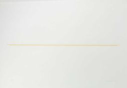 Fred Sandback (1943 Bronxville - New York 2003)