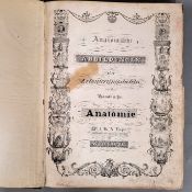 FEIGEL, Johann Theodor Anton: Anatomische Abbildungen oder Erläuterungstafeln...