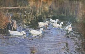 Franz GRÄSSEL (1861-1948), Sechs Enten im Teich bei Sonnschein, umgeben von Schilf, Signiert und