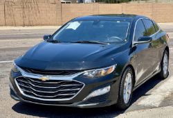 The Auction Yard's Weekly Public Auto Auction!