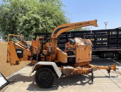 The Auction Yard's Weekly Public Auto Auction!
