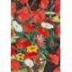 Monogrammist A.H. , Ölgemälde Stillleben mit Mohn - Bild 4 aus 8