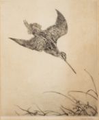 *Winifred Marie Louise Austen (British, 1876-1964) Snipe and Ducks Two drypoint etchings 26 x 21.