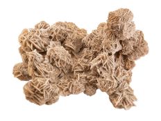A 'Desert Rose' gypsum cluster specimen, almost certainly Moroccan Sahara, 26cm high,