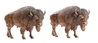 A pair of fine Viennese bronze models of buffalo, by Franz Bergman,